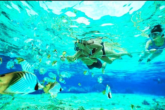 All Inclusive : Bali Blue Lagoon Snorkeling, Lunch, and Transport - Safety Real Talk, When You Are New to Snorkeling