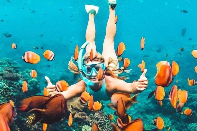 All Inclusive : Bali Blue Lagoon Snorkeling, Lunch, and Transport - Tanjung Jepun Reef Time, Plus What You Can Actually Spot