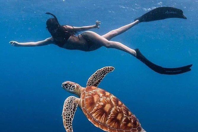 All Inclusive : Bali Blue Lagoon Snorkeling with Lunch &Transfers - Key things to know before you go