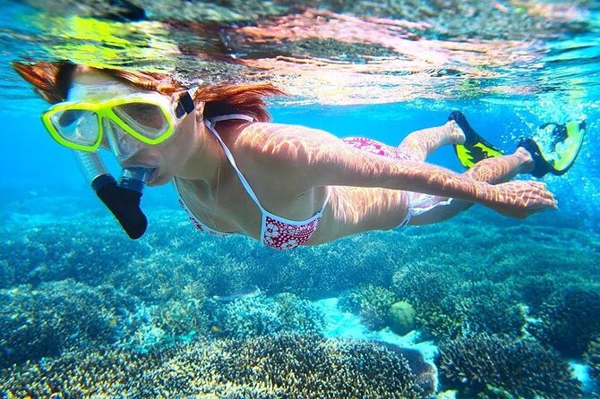 All Inclusive : Bali Blue Lagoon Snorkeling with Lunch &Transfers - The lunch is Indonesian, and vegetarian is available