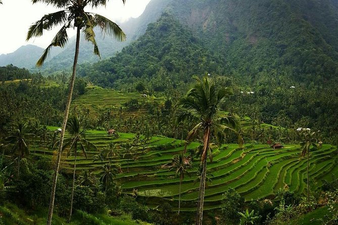 All inclusive Bali Sekumpul Waterfalls Trekking Tour - Optional Stops: Temple, Hills, and the Handara Iconic Gate