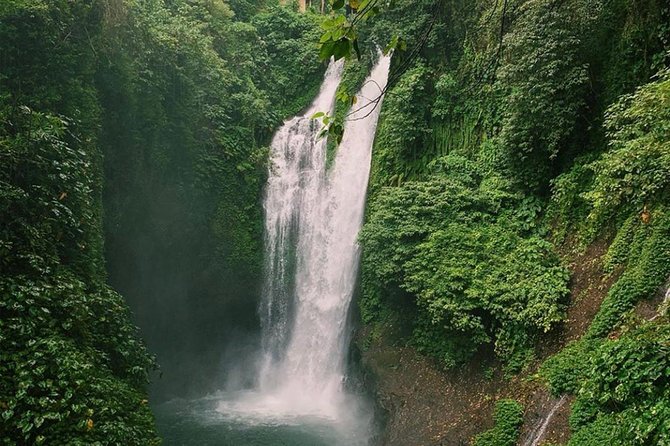 All Inclusive : Jumping Sliding at Aling- Aling Waterfall - Handara Gate - Lunch - Who This Adventure Day Trip Suits Best