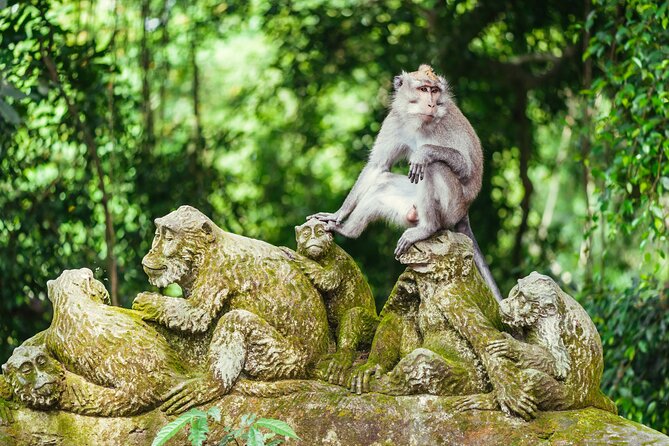 All Inclusive: Monkey Forest, Rice terrace, Holly Spring Temple - Key things to know before you go