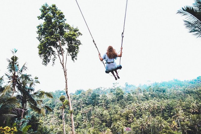 All Inclusive: Monkey Forest, Rice terrace, Holly Spring Temple - Tegenungan Waterfall: a very short stop, so plan for quick photos