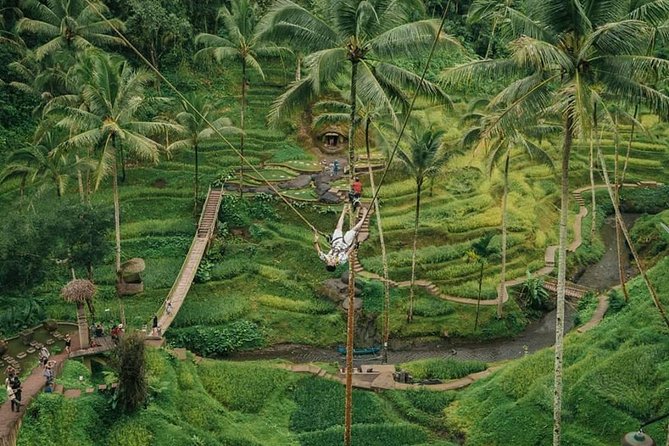 All inclusive Private 3 day tours package : Bali highlights - Day 2 Tanah Lot to Bratan, Then Waterfalls and Heaven Gate