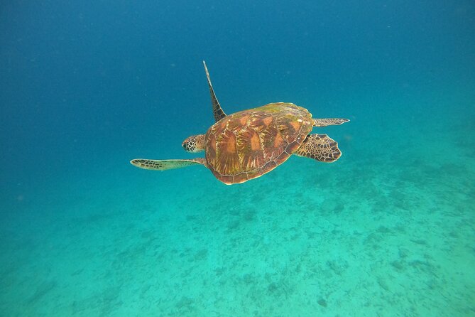 All Inclusive Snorkeling at Blue Lagoon with Lunch - Tanjung Jepun: the second snorkel stop that adds variety