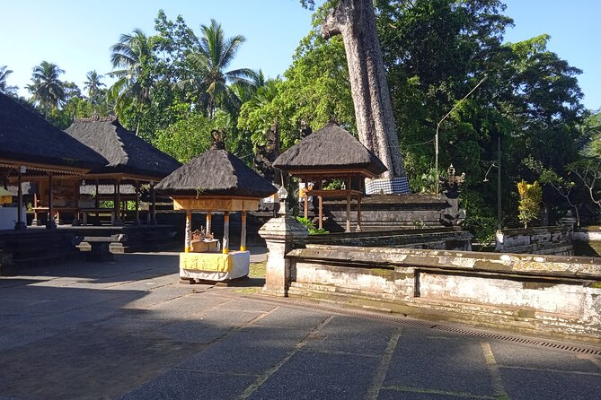 [All Inclusive] The Soul of Bali: Temples, Art & Traditions Tour - Ubud Traditional Art Market: shopping with a plan