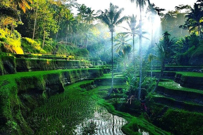 [All Inclusive] The Soul of Bali: Temples, Art & Traditions Tour - Suwat Waterfall: the easy trail that earns its quiet time