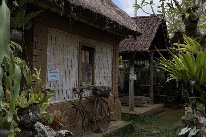 All Inclusive Ubud Cultural and Natural Highlights Tour - Tegalalang Rice Terraces: Photo Walkways and Working Farmland
