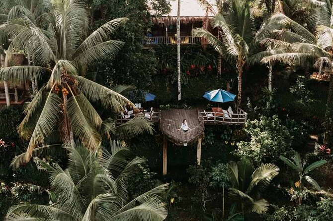 All-Inclusive Ubud Private Tour - Price and logistics: does $100 feel fair for what you get