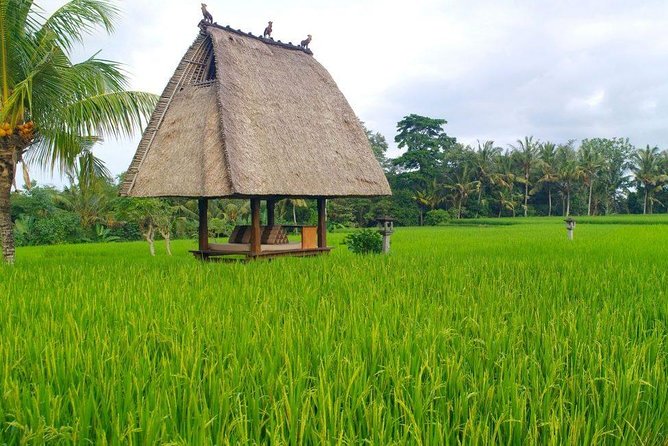 All-Inclusive Ubud Private Tour - Guide names you will hear for a reason: photo help and smooth pacing