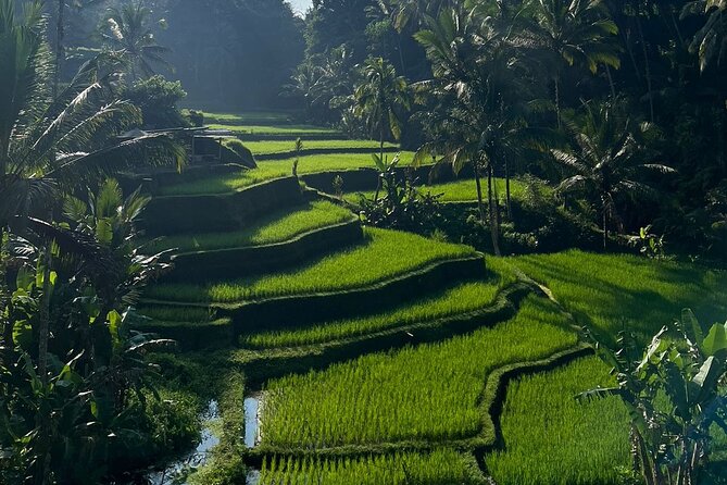 All Inclusive Ubud Tour - Ulu Petanu Waterfall: A Quieter Pause in the Jungle Foliage