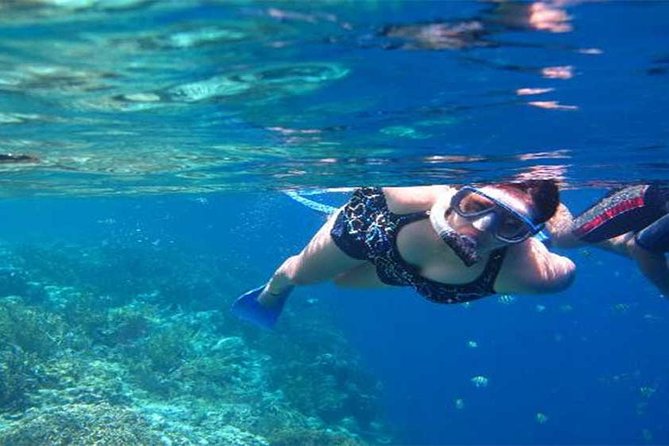 All Ticket Inclusive-Blue Lagoon Snorkeling-Ubud Monkey Forest & Ubud Waterfall - Pickup and timing for a smooth 8 to 10 hour day