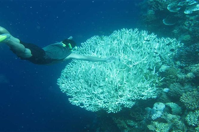 All Ticket Inclusive-Blue Lagoon Snorkeling-Ubud Monkey Forest & Ubud Waterfall - Tegenungan Waterfall near Ubud: views from above or time at the water
