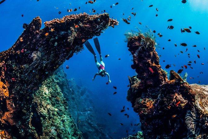Amed Bali Snorkelling: Japanese Shipwreck & Vienna Beach Tour - Timing, pickup, and comfort: what changes if you stay in Amed vs farther away