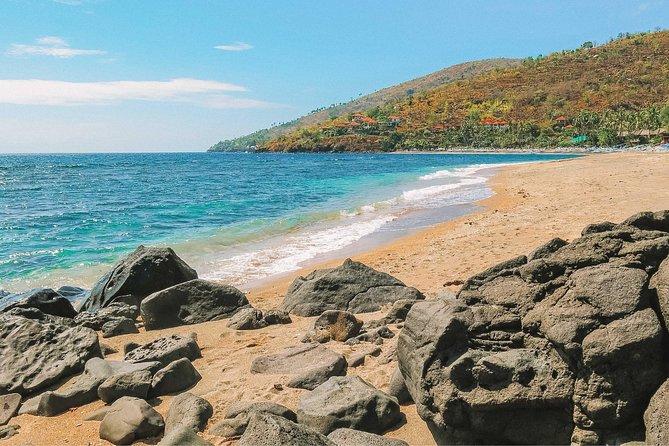 Amed Bali Snorkelling: Japanese Shipwreck & Vienna Beach Tour - Price check: is $44 good value for Amed snorkelling?