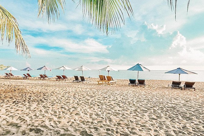 Amed Bali Snorkelling: Japanese Shipwreck & Vienna Beach Tour - Gear, current, and etiquette: how to get more from the water time