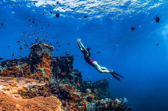 Amed Bali Snorkelling: Japanese Shipwreck & Vienna Beach Tour - Who this tour is best for, and who should think twice
