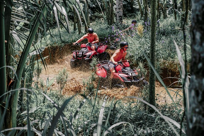 ATV Quad Bike Bali with Waterfall Gorilla Cave and Lunch - Who this ATV quad bike tour suits best, and who might want a different day