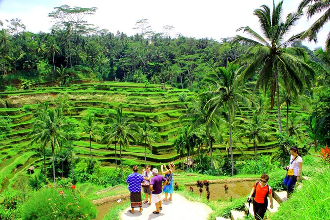 ATV Quad Bike with Kintamani Volcano Tour - All Inclusive - The 4-Wheel Route, What Jungle Riding Feels Like in Bali