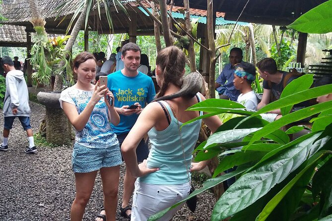 ATV Quad Bike with Kintamani Volcano Tour - All Inclusive - Tegalalang Rice Terrace, Why This Stop Still Matters