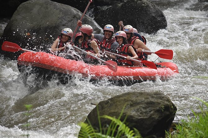 Ayung Rafting Ubud (Include Lunch & Return Transportation) - Quick hit highlights (what you’ll feel most)