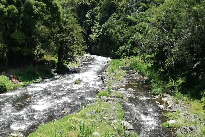 Ayung Rafting Ubud (Include Lunch & Return Transportation) - The rafting run on Ayung: grade II-III with scenery and water time