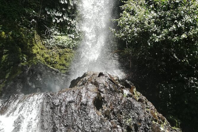 Ayung Rafting Ubud (Include Lunch & Return Transportation) - Lunch after rafting: buffet fuel that actually makes sense
