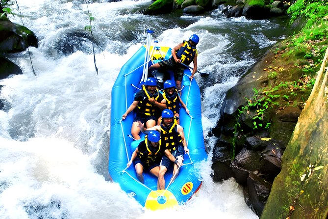 Ayung River Rafting - Ubud Best White Water Rafting - Where the fun happens: rainforest, rice fields, and kingfisher spotting