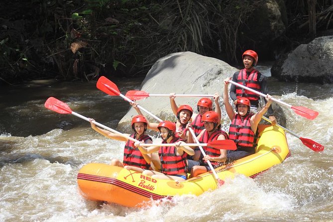 Ayung River - White Water Rafting Bali - Key highlights to know before you go