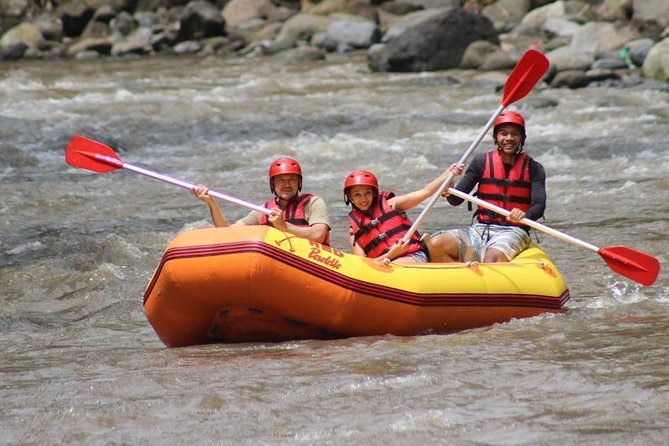 Ayung River - White Water Rafting Bali - Ayung River near Ubud: why this run is so popular
