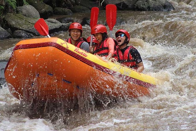 Ayung River - White Water Rafting Bali - Equipment, training, and a guide in control