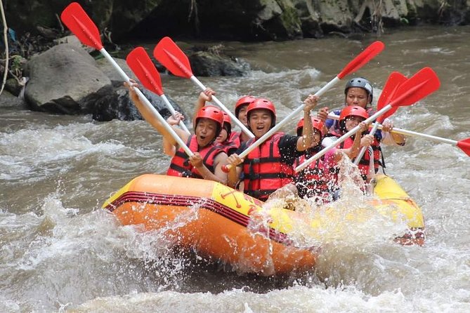 Ayung River - White Water Rafting Bali - Practical ways to get the most from your day