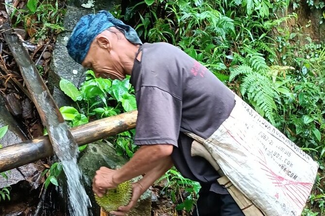 Baduy Tribal Tracker and Village in Private Tour Full Day & Lunch - How the full day runs: pickup, the drive out, and meeting your representative