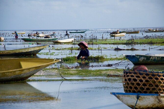 Bali 2 Days and 1 Nights of Nusa Penida and Lembongan Tour - Day 2 on Nusa Lembongan: Yellow Bridge, mangroves, seaweed, Devil’s Tears, Dream Beach