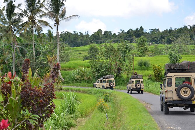 Bali 4WD Adventure WakaLand UNESCO Jatiluwih Trip in Bali Outback - Key highlights at a glance