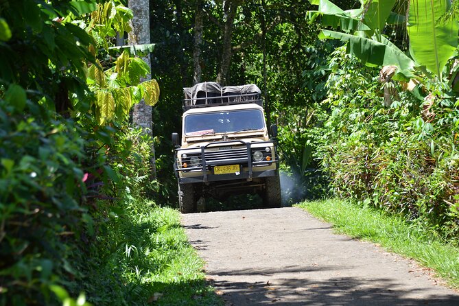 Bali 4WD Adventure WakaLand UNESCO Jatiluwih Trip in Bali Outback - Bamboo Forest Restaurant by WHM: lunch on Mount Batukaru