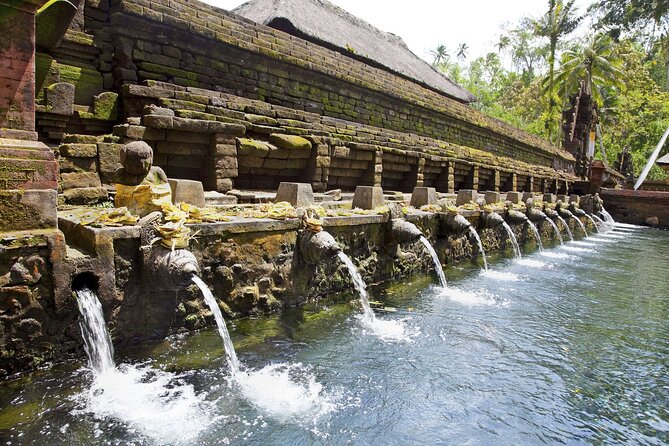 Bali All-Inclusive: Ubud Tour with Entrance Ticket and Lunch Included - Tegenungan Waterfall: Your First Hour of Wow