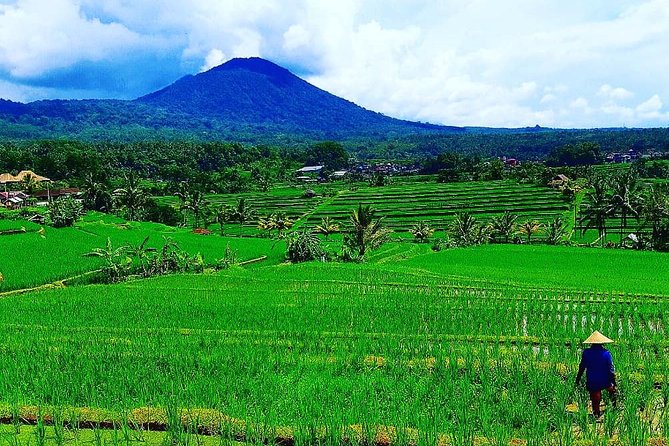 Bali Ancient Temples Tour - A private Bali temple loop that still feels efficient