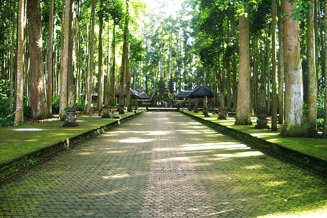 Bali ATV Combined with Mumbul Lake And Sangeh Monkey Forest - Stop 1, Pertiwi Adventure: the jungle ATV portion and what to expect