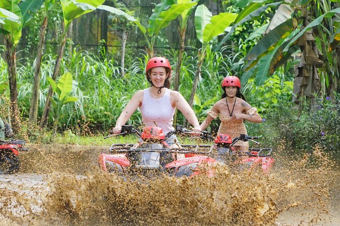 Bali ATV Quad Adventure - Ubud Monkey Forest and Waterfall - Price and value: why $47.50 can work well here