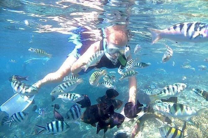 Bali ATV Quad Bike Adventure and Snorkeling Tour - Food, Water, and the Pace of an 8-Hour Day