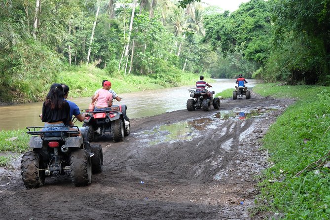 Bali Atv Quad Bike Through Tunnel and Waterfall - Coffee plantation stop at Teba Sari Bali Agrotourism (including Luwak)