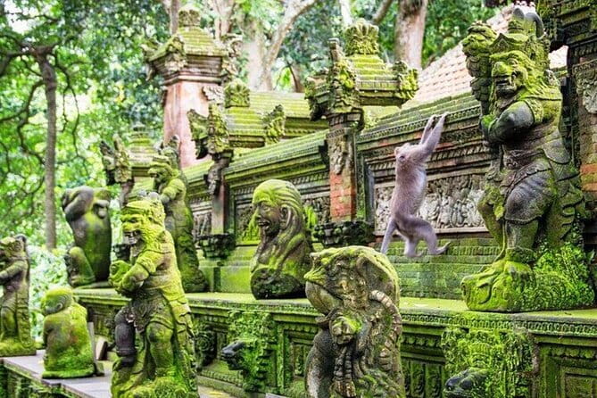 Bali ATV Quad Bike Ubud Swing & Monkey Forest All Inclusive - Sacred Monkey Forest: close photos, with a guide keeping it comfortable