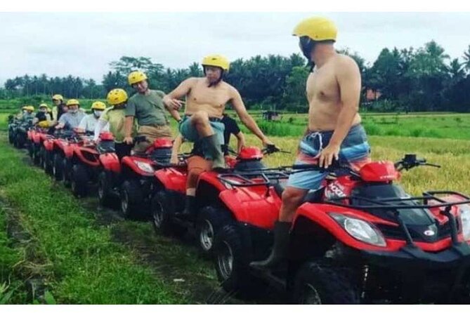 Bali ATV Quad Bike With Blue Lagoon Snorkeling - Getting picked up: private transfers from Ubud and south Bali areas
