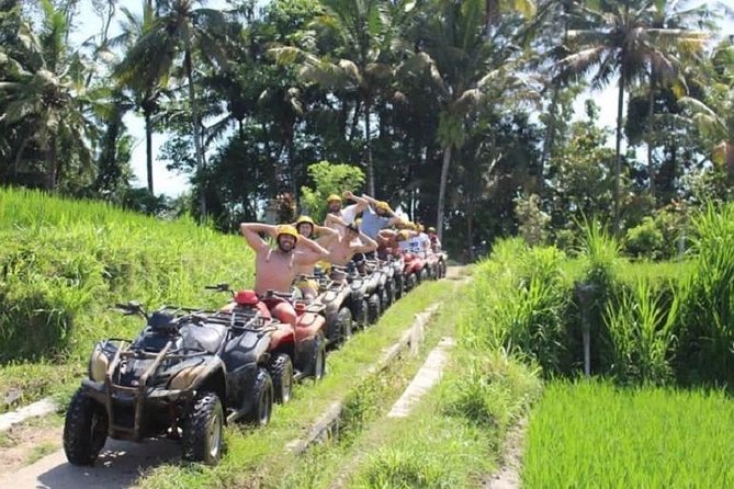 Bali ATV Quad Bike with Monkey Forest and Tegenungan Waterfall - Who this Ubud ATV tour is best for