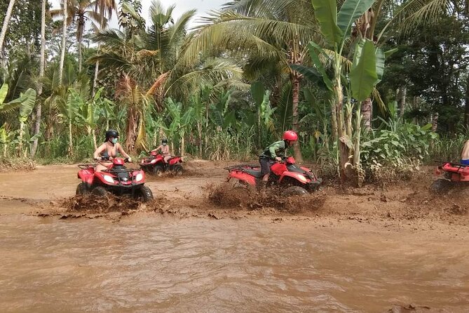 Bali ATV Quadbike Through Gorilla Face Cave - What you actually do on the trail: rice fields, rivers, jungle, and the tunnel exit