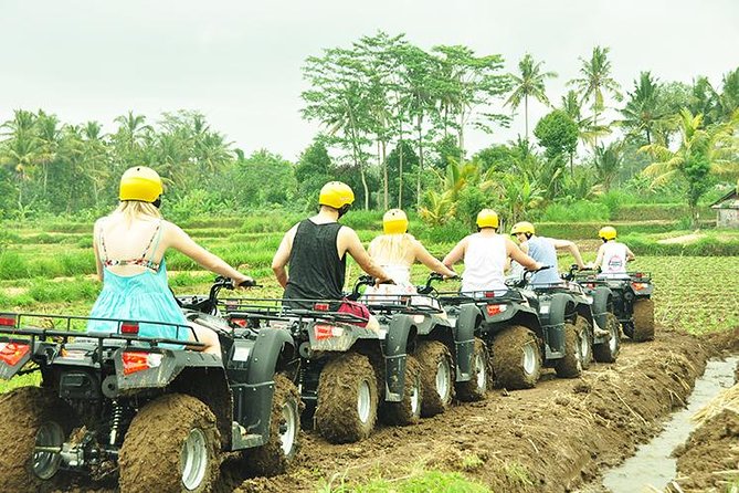 Bali ATV Ride - Quad Biking Adventure - What you ride: the semi-automatic 250cc ATV setup