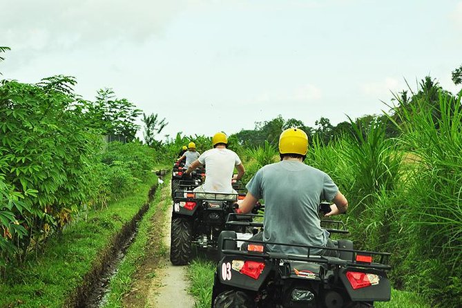 Bali ATV Ride - Quad Biking Adventure - Rice paddy and village tracks: where the ride starts to feel real