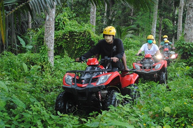 Bali ATV Ride waterfall jungle and rice fild track ubud - Price and value: what you’re really paying for at $39.99